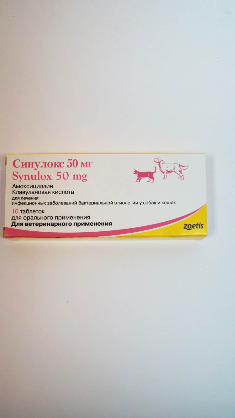 Синулокс для кошек в таблетках и инъекциях - дозировка, противопоказания, аналоги и отзывы