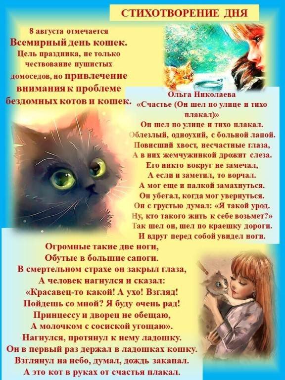 Когда отмечают всемирный день кошек в россии и по всему миру | ваши питомцы
