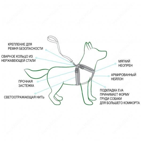 ᐉ как надеть шлейку на собаку? - ➡ motildazoo.ru