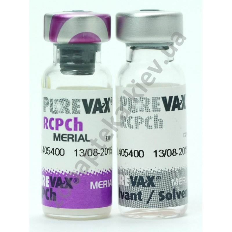Вакцина пуревакс для кошек - инструкция по применению