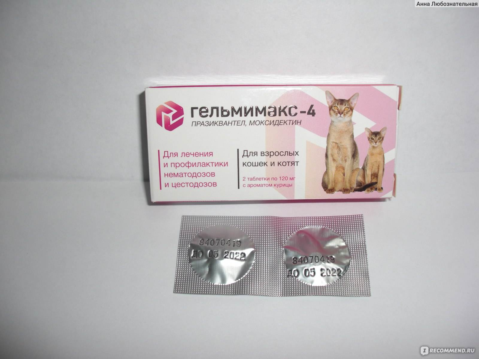 Препарат "энромаг" - инструкция для лечения кошек и животных