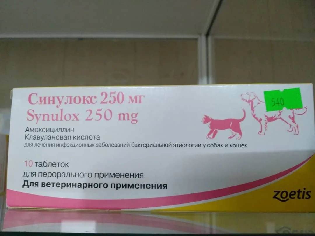 Синулокс для кошек и собак формы выпуска, инструкция по применению таблеток и инъекций