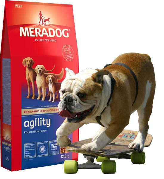 Корма для собак meradog (мерадог): ассортимент, состав, гарантированные показатели производителя, плюсы и минусы кормов, выводы