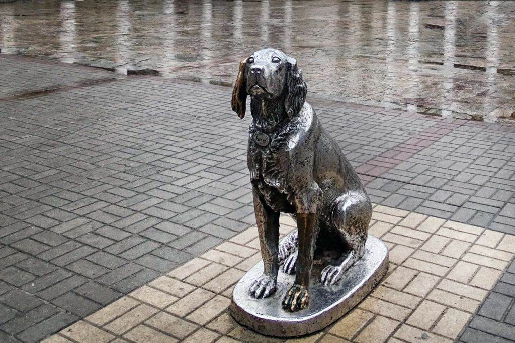 10 памятников собакам – за преданность и верность