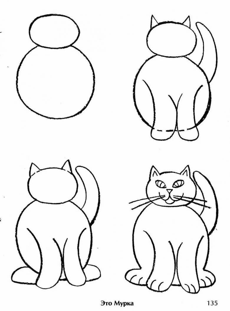 Как нарисовать котенка  поэтапно 17 уроков