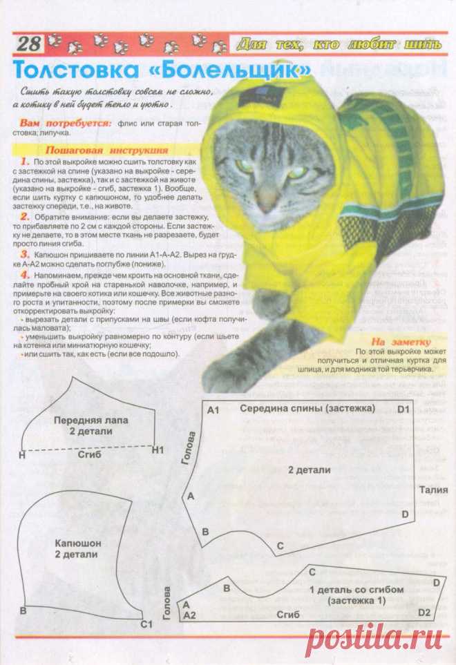 Одежда для кошек своими руками с выкройками и описанием