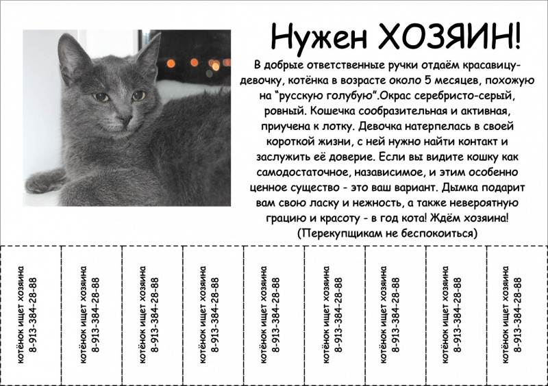 Как определить возраст кота - wikihow