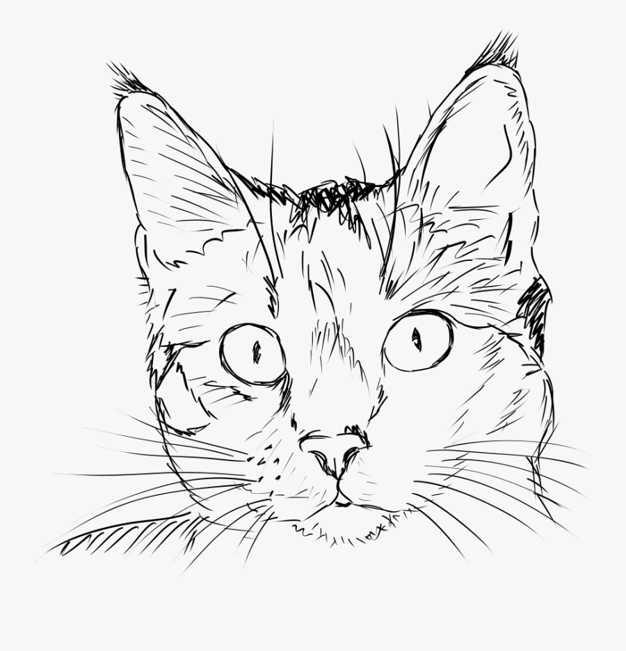 Как нарисовать кошку: 7 легких и красивых способов (пошагово)