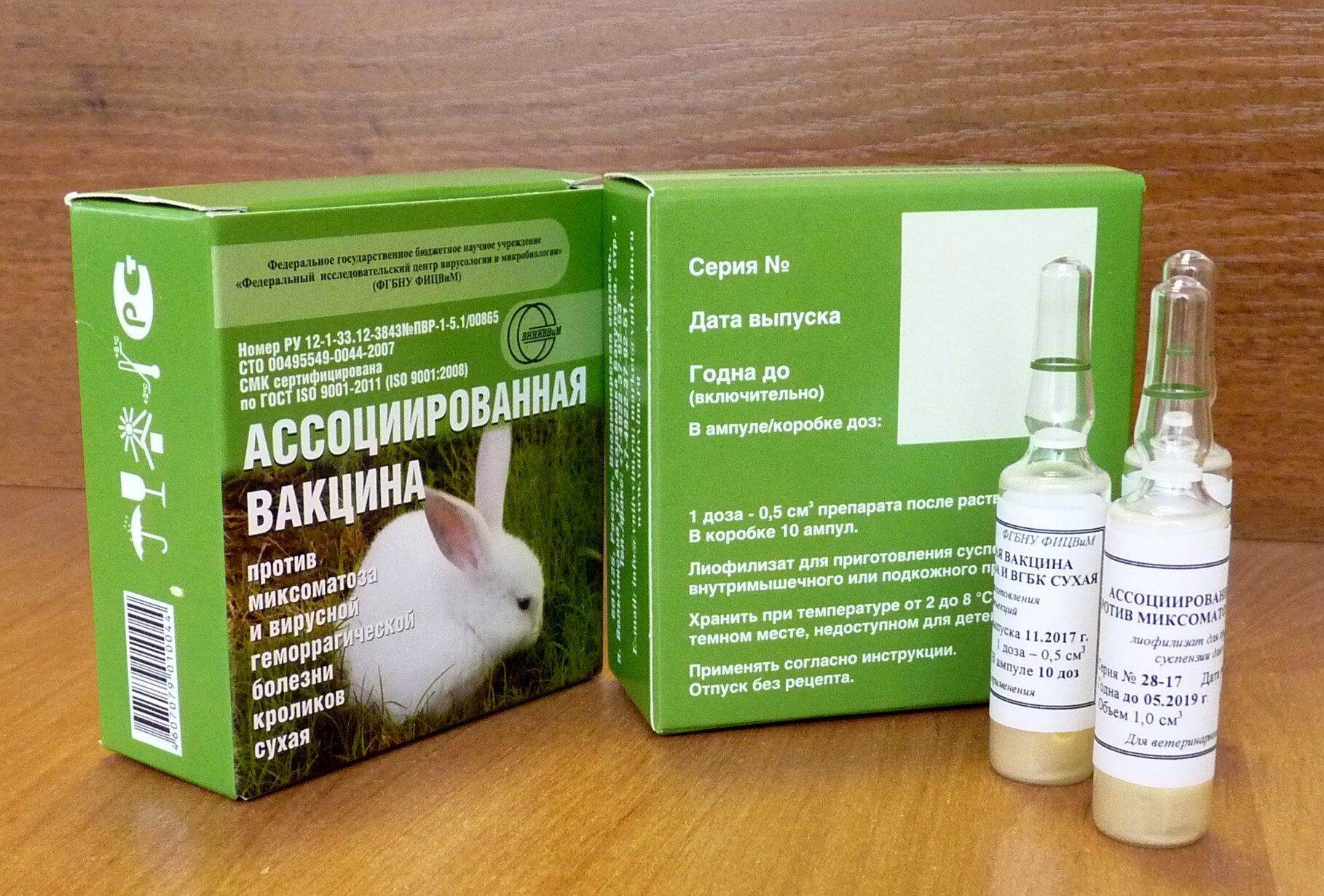 Ассоциированная вакцина для кроликов: для профилактики каких болезней используется, противопоказания и побочные реакции, как делать