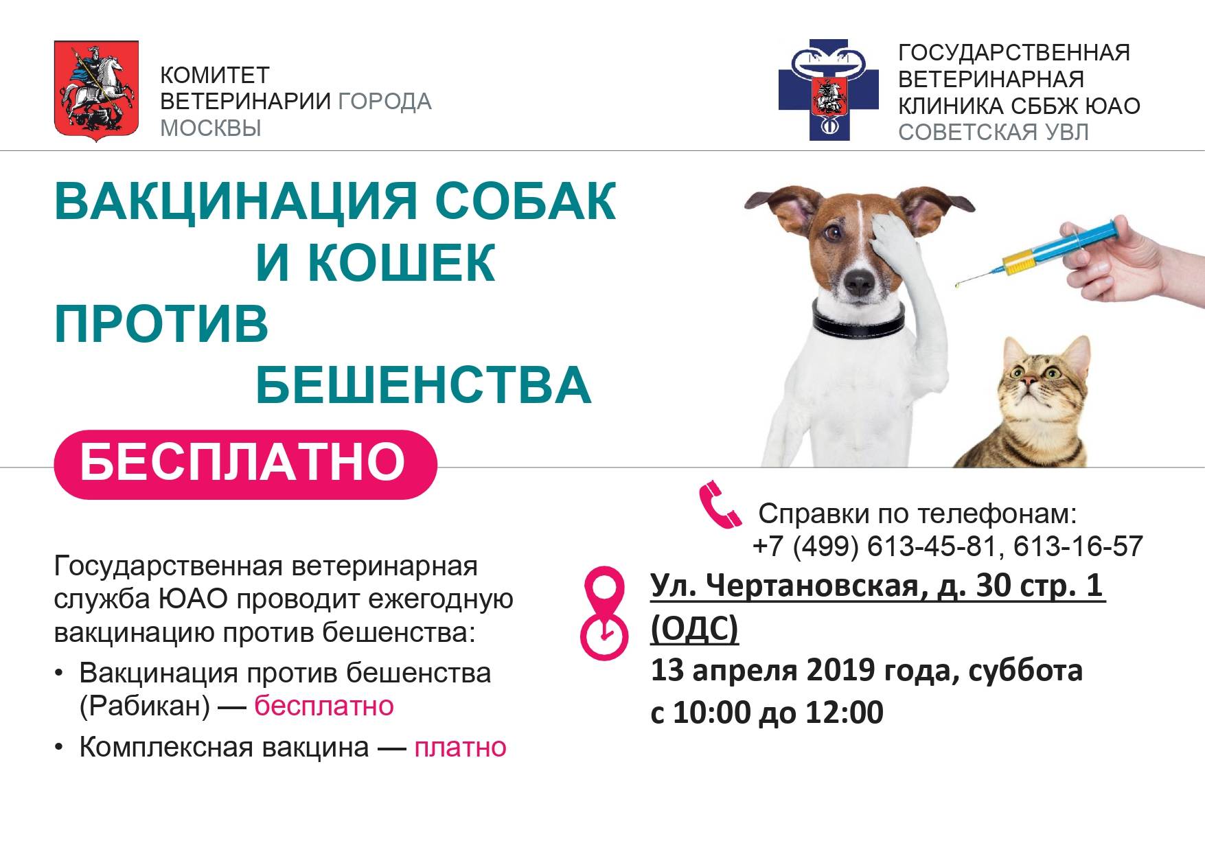 Полный календарь прививок у щенков и собак | блог ветклиники "беланта"