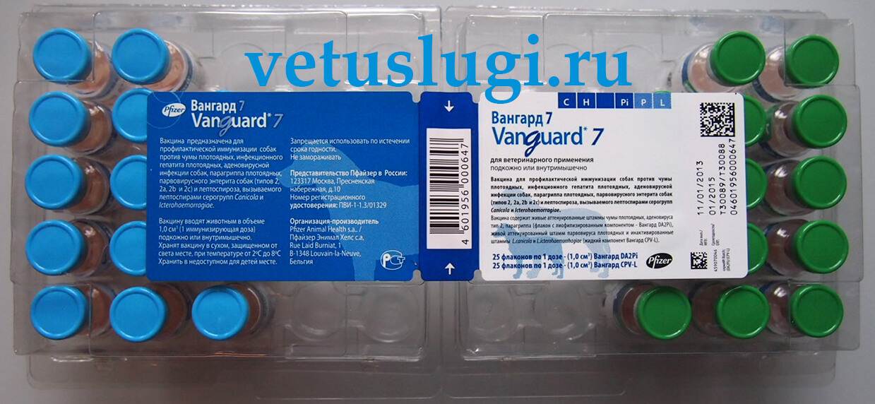 Вангард |  вакцина вангард
