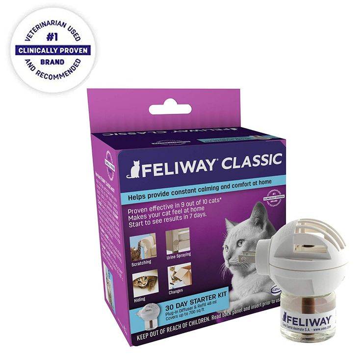 Feliway для кошек – правила использования антистрессового препарата