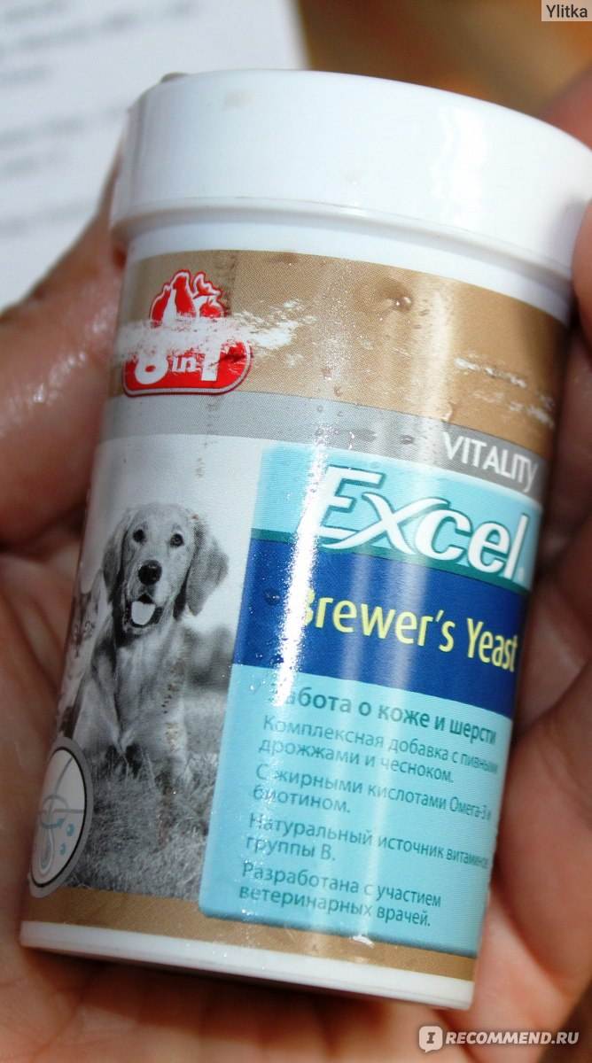 Витамины для собак для шерсти: от выпадения, виды, обзор