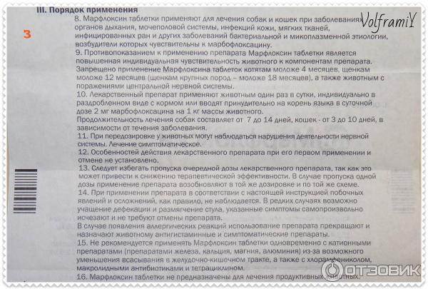 Марфлоксин для кошек: инструкция по применению, показания и противопоказания, аналоги, отзывы