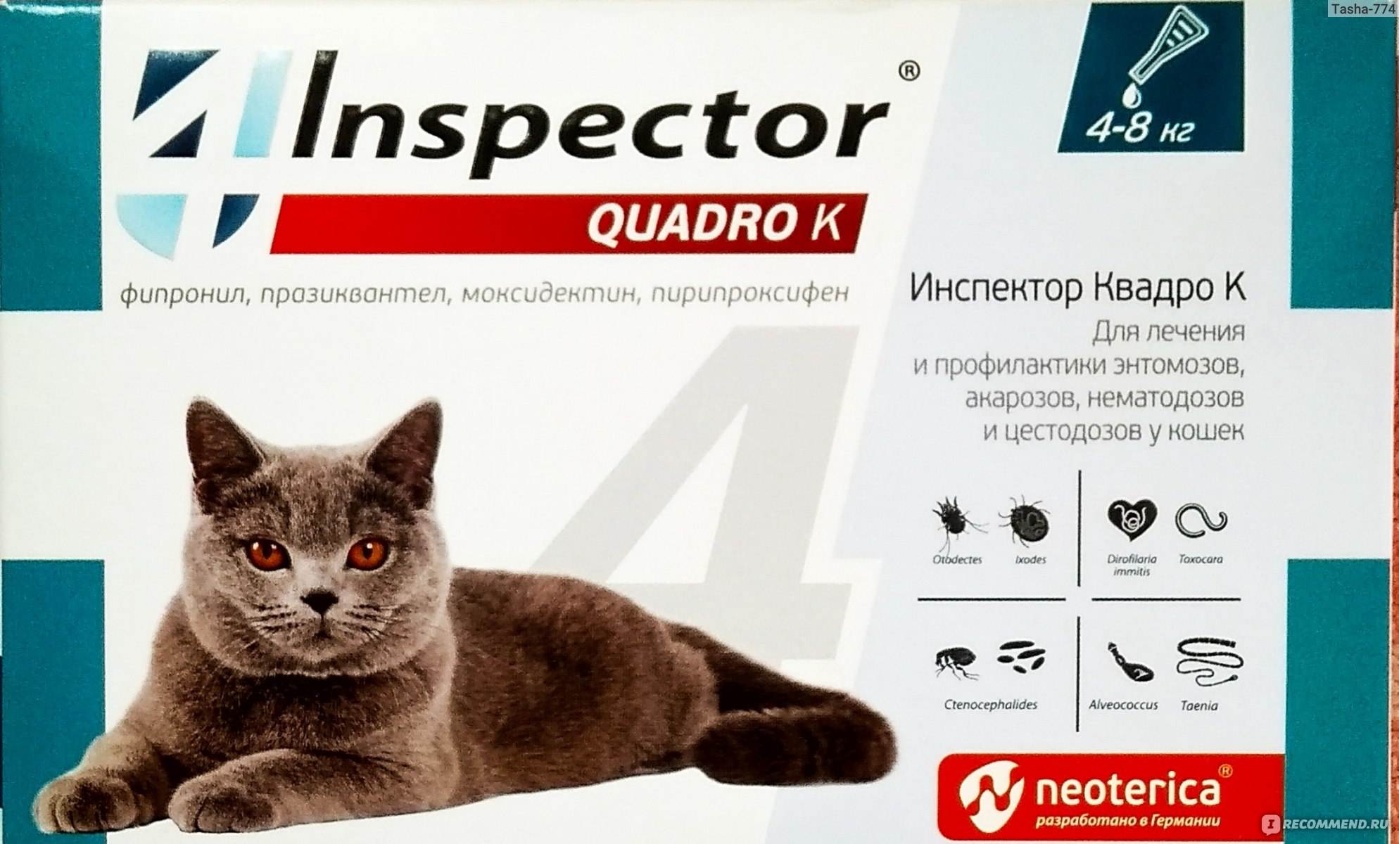 Инспектор Квадро к для кошек 4-8 кг