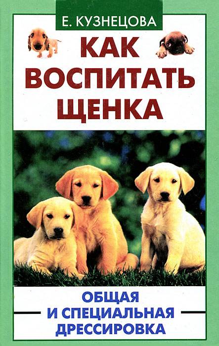 Как воспитывать щенка: с чего начать и как действовать
